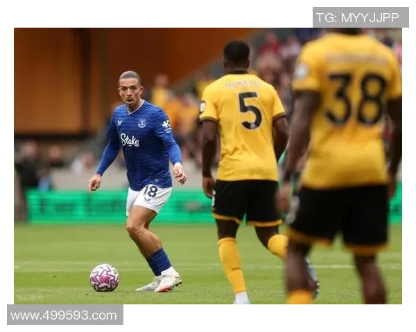 维拉与埃弗顿历史交锋战绩分析及近期表现对比