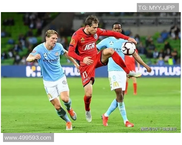 墨尔本鲨鱼对决墨尔本胜利激烈比赛引发球迷热议与期待